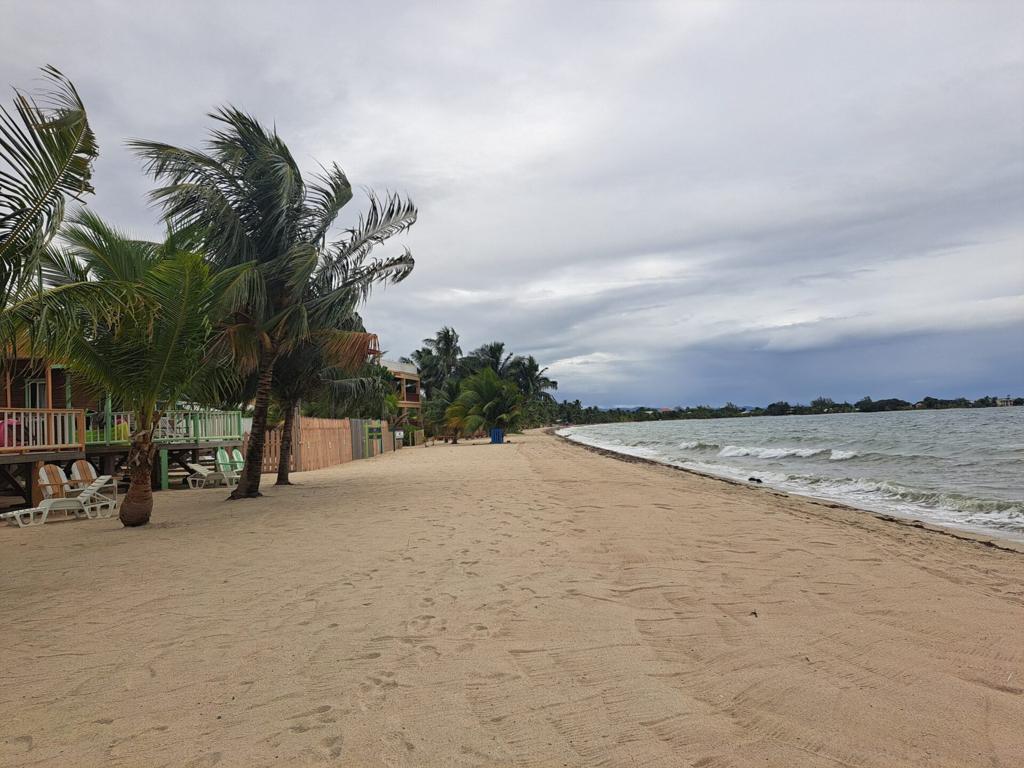 listing image with ID 91492