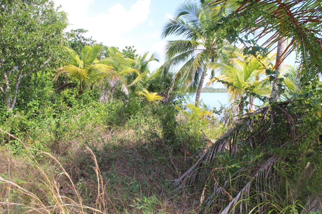 listing image with ID 80409
