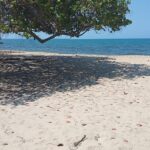 listing image thumbnail with ID 92982