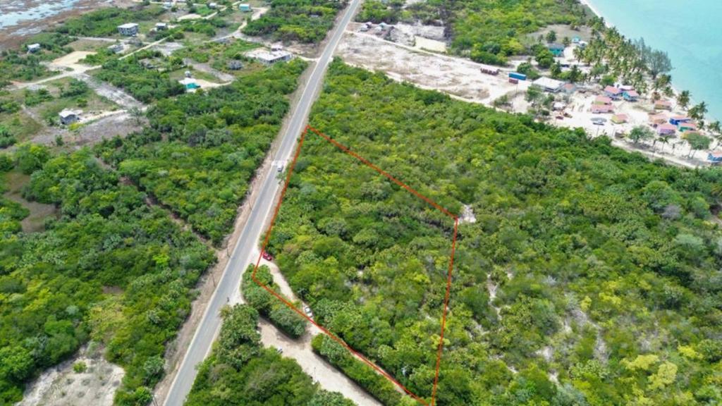 listing image with ID 90865