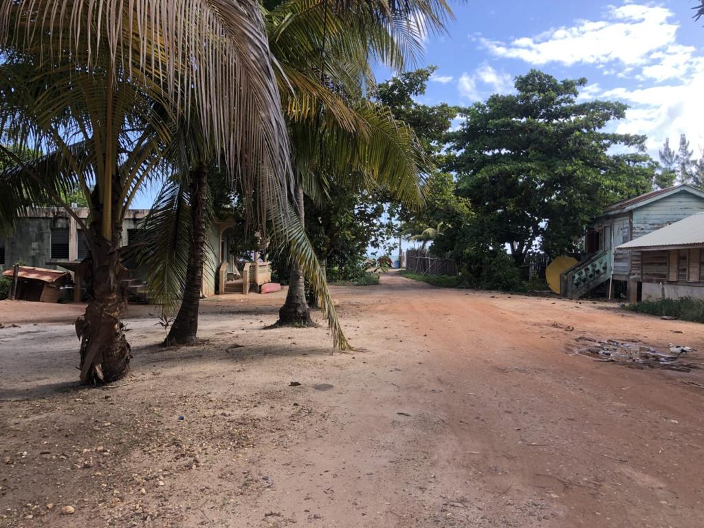 listing image with ID 97559