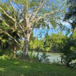 listing image thumbnail with ID 93996