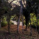 listing image thumbnail with ID 107724