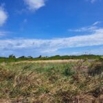 listing image thumbnail with ID 91763
