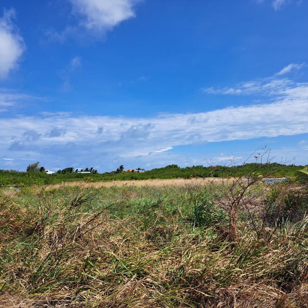 listing image with ID 91763