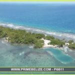 listing image thumbnail with ID 101603
