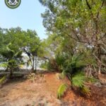 listing image thumbnail with ID 101613