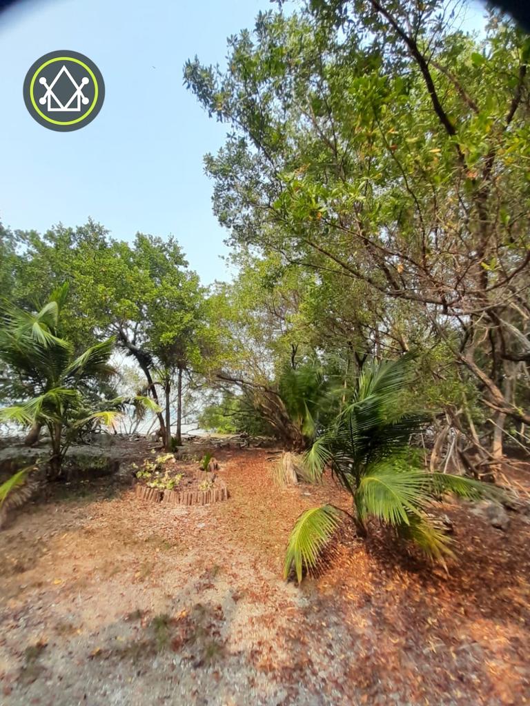 listing image with ID 101613