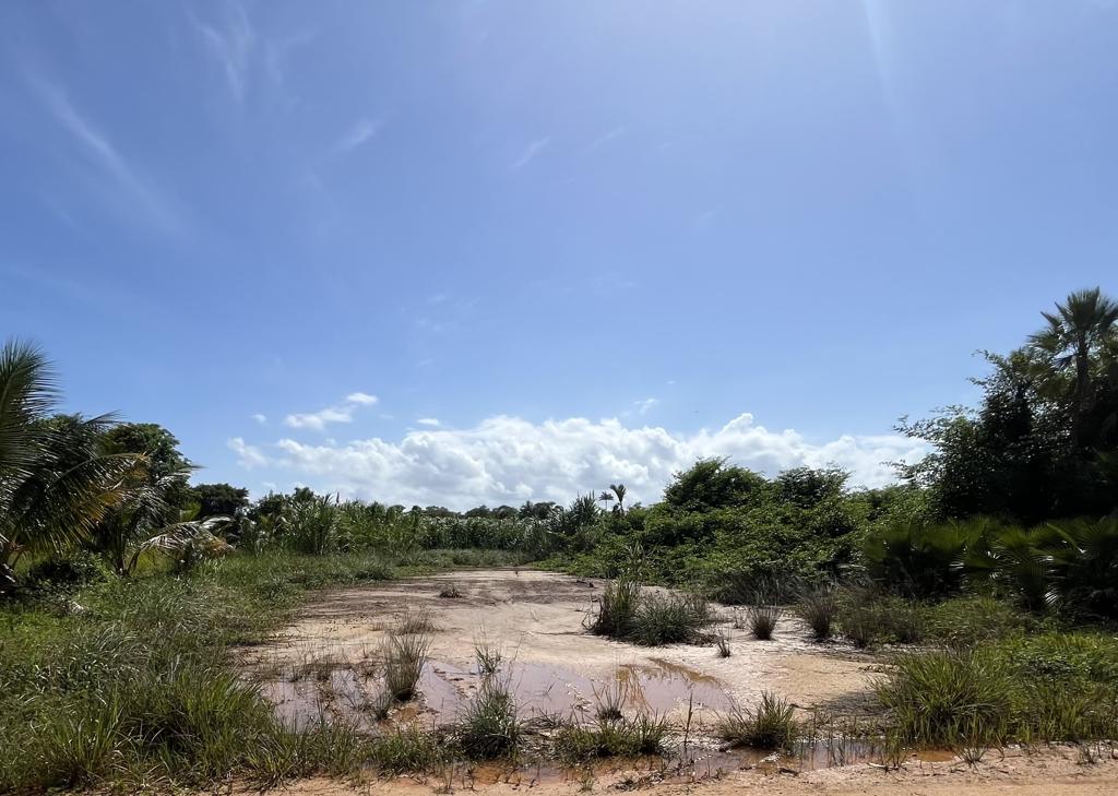 listing image with ID 108764