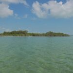 listing image thumbnail with ID 100225
