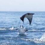 listing image thumbnail with ID 78834