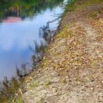 listing image thumbnail with ID 102719