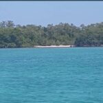 listing image thumbnail with ID 100495