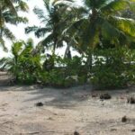 listing image thumbnail with ID 107234