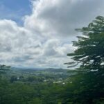 listing image thumbnail with ID 108106