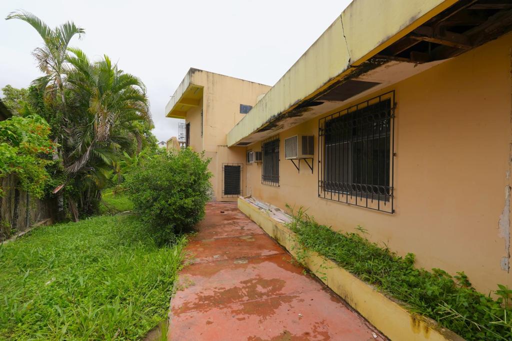 listing image with ID 101229