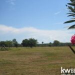 listing image thumbnail with ID 75659