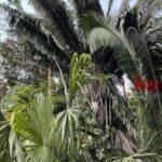 listing image thumbnail with ID 90255