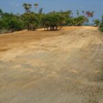 listing image thumbnail with ID 75918