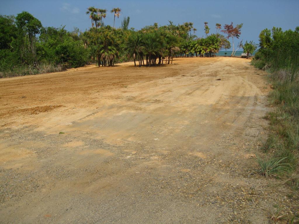 listing image with ID 75918