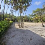 listing image thumbnail with ID 104529