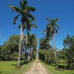 listing image thumbnail with ID 88083