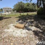 listing image thumbnail with ID 87225
