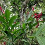 listing image thumbnail with ID 76061