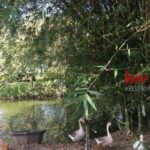 listing image thumbnail with ID 103572