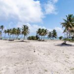 listing image thumbnail with ID 95454