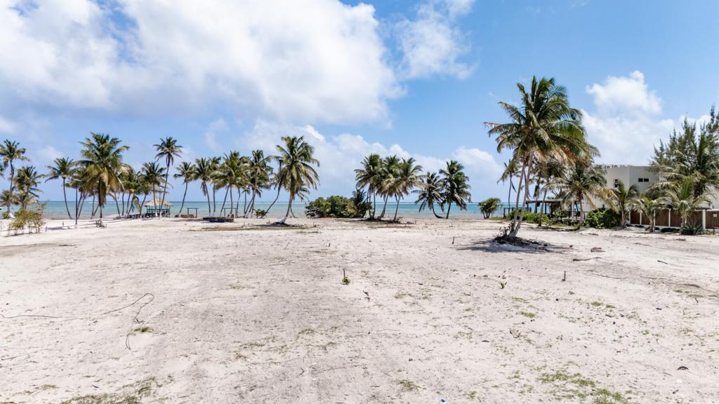 listing image with ID 95454