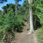 listing image thumbnail with ID 98966