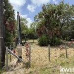 listing image thumbnail with ID 87231