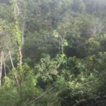 listing image thumbnail with ID 82558