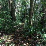 listing image thumbnail with ID 78435
