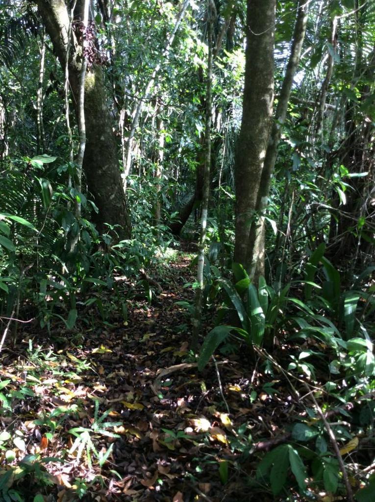 listing image with ID 78435