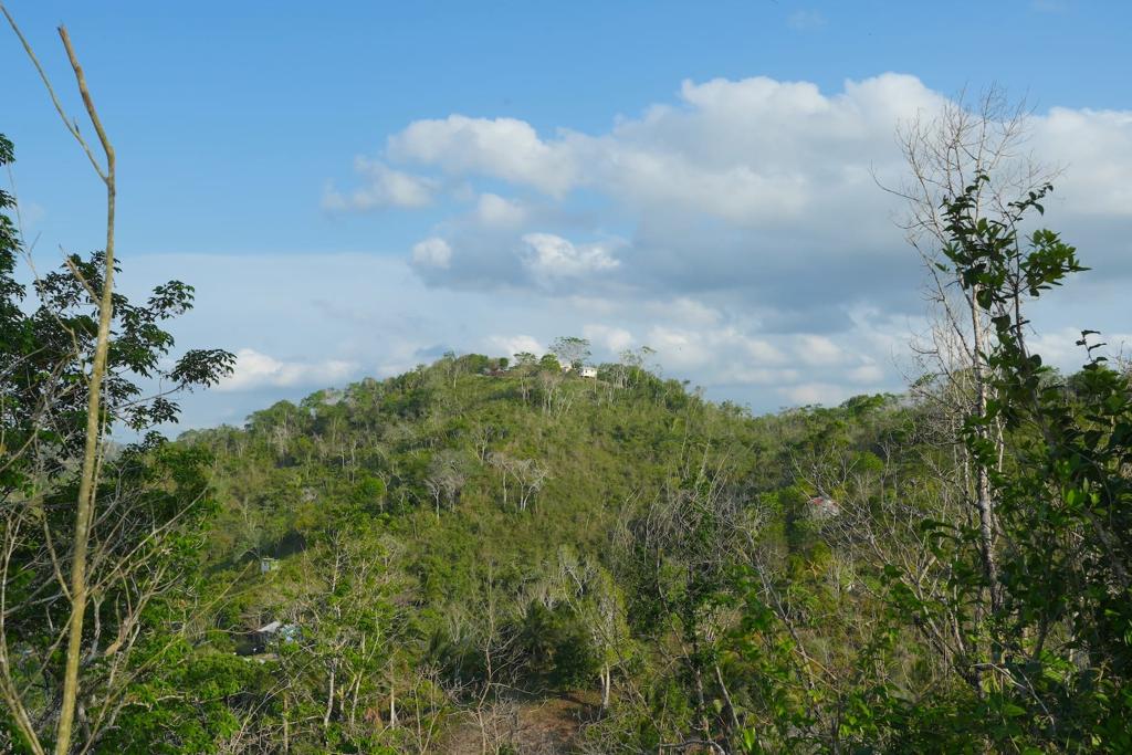 listing image with ID 90804