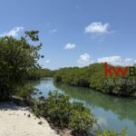 listing image thumbnail with ID 84980