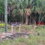 listing image thumbnail with ID 87260