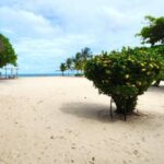 listing image thumbnail with ID 77139