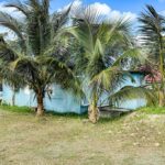 listing image thumbnail with ID 107302