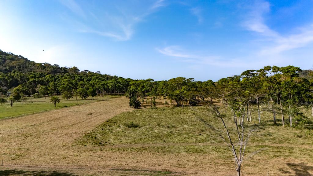 listing image with ID 92119