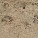 listing image thumbnail with ID 84064