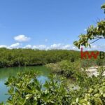 listing image thumbnail with ID 84986