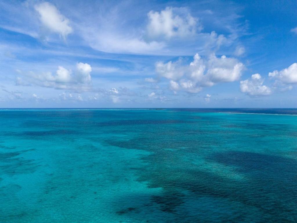 listing image with ID 94877