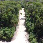 listing image thumbnail with ID 87888