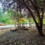 listing image thumbnail with ID 87764