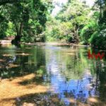 listing image thumbnail with ID 93974