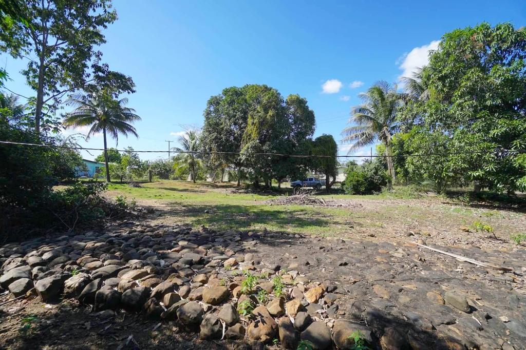 listing image with ID 85489