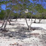 listing image thumbnail with ID 97198